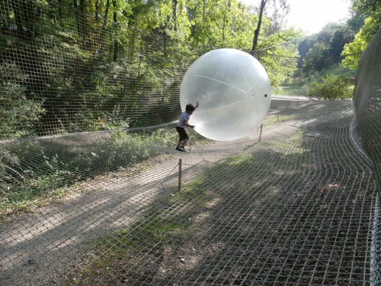 vacances d'été-Jeu Bois des lutins